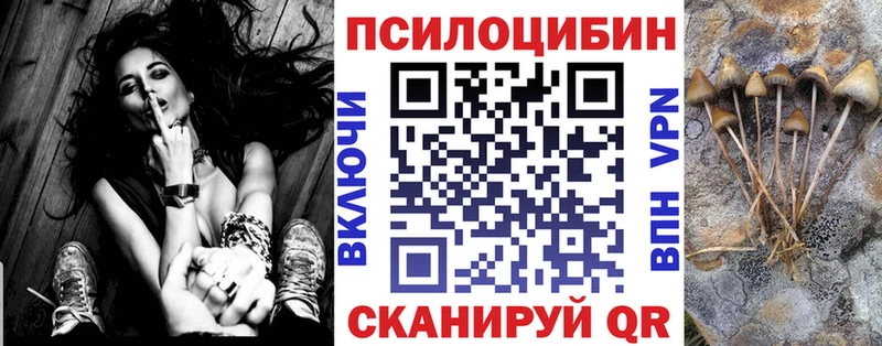 как найти закладки  Дно  Псилоцибиновые грибы Psilocybe 